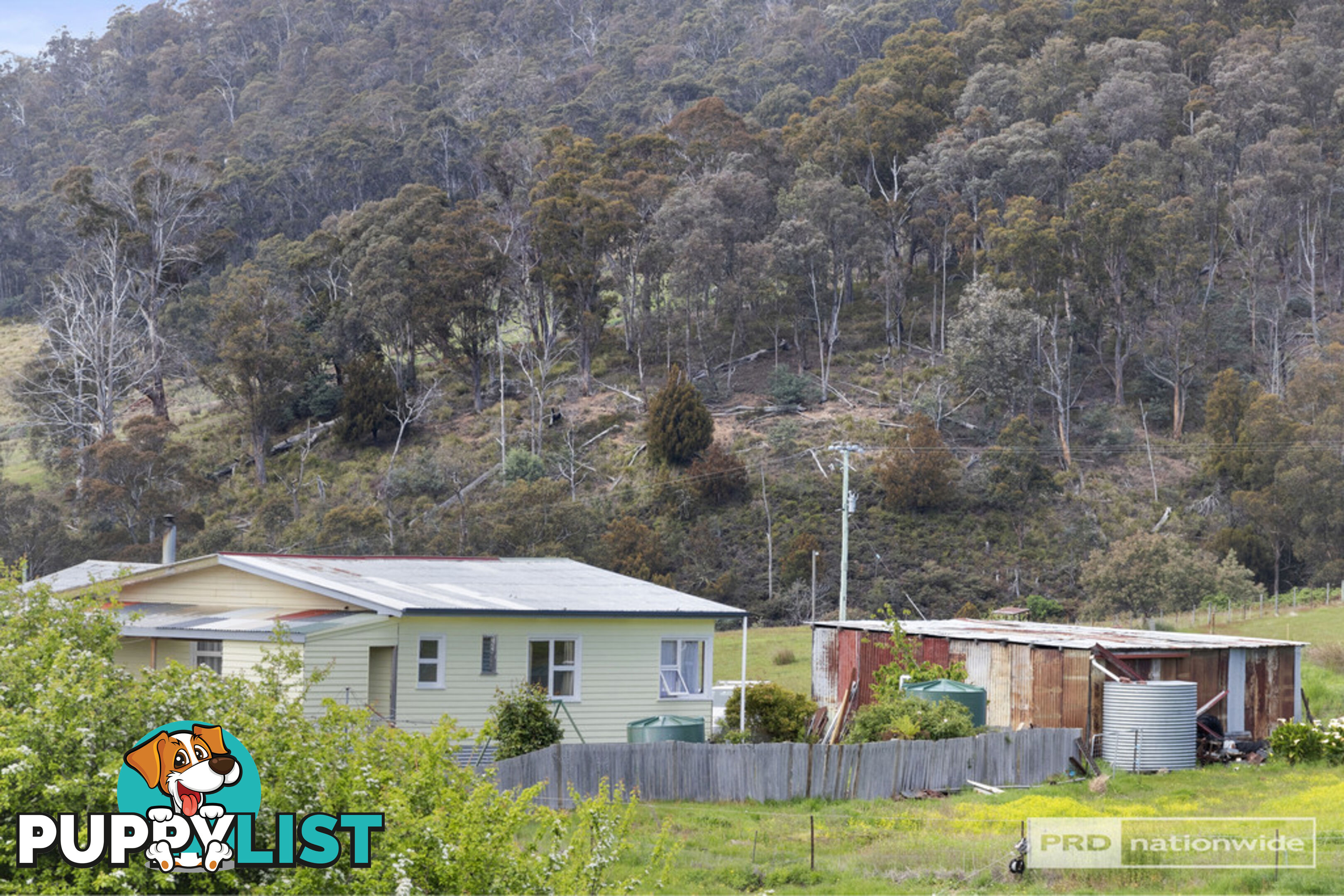 260 Gully Road FENTONBURY TAS 7140