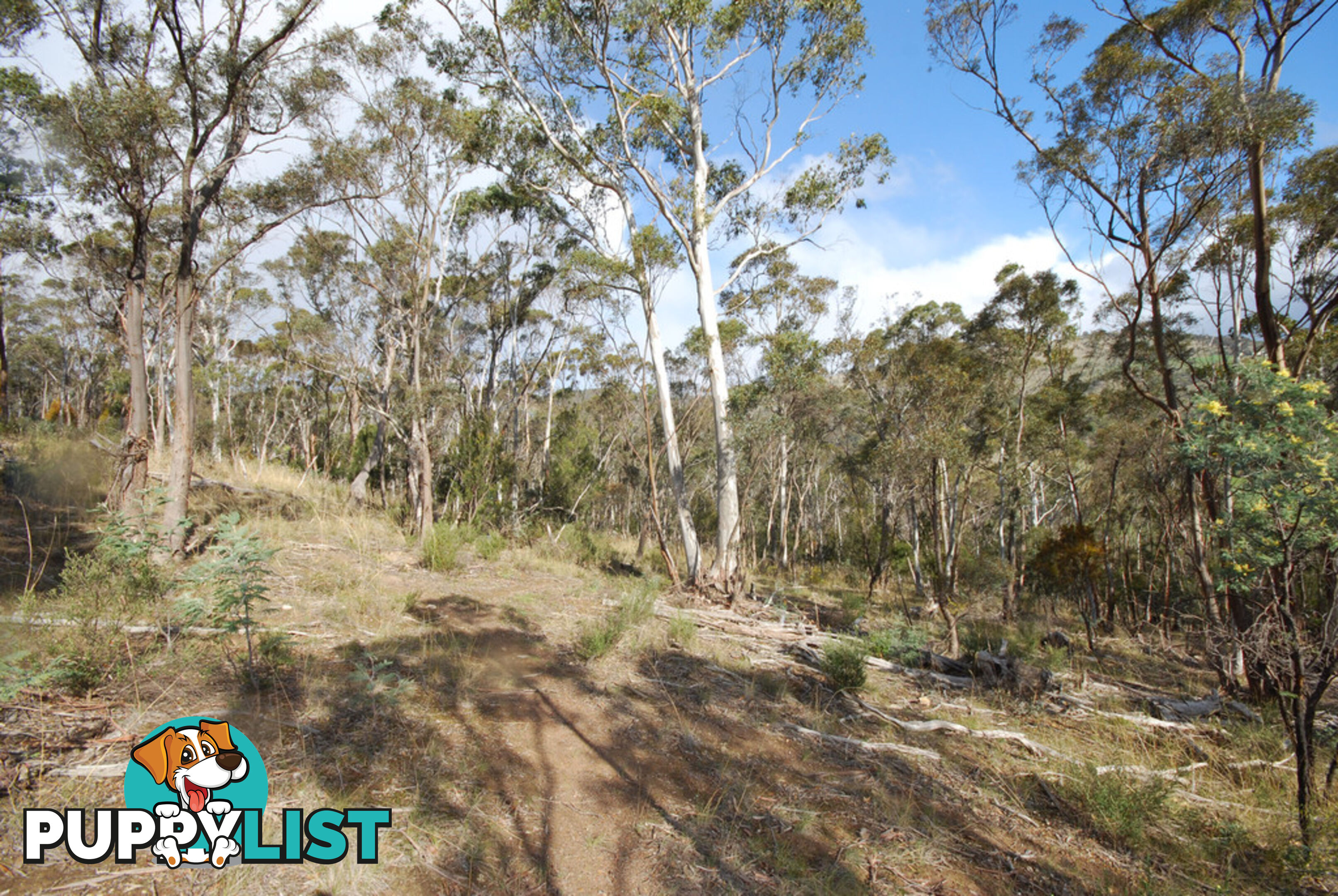 Lot 1 Fosters Gully Road NEW NORFOLK TAS 7140