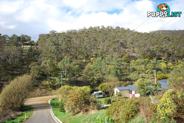 Lot 1 Fosters Gully Road NEW NORFOLK TAS 7140