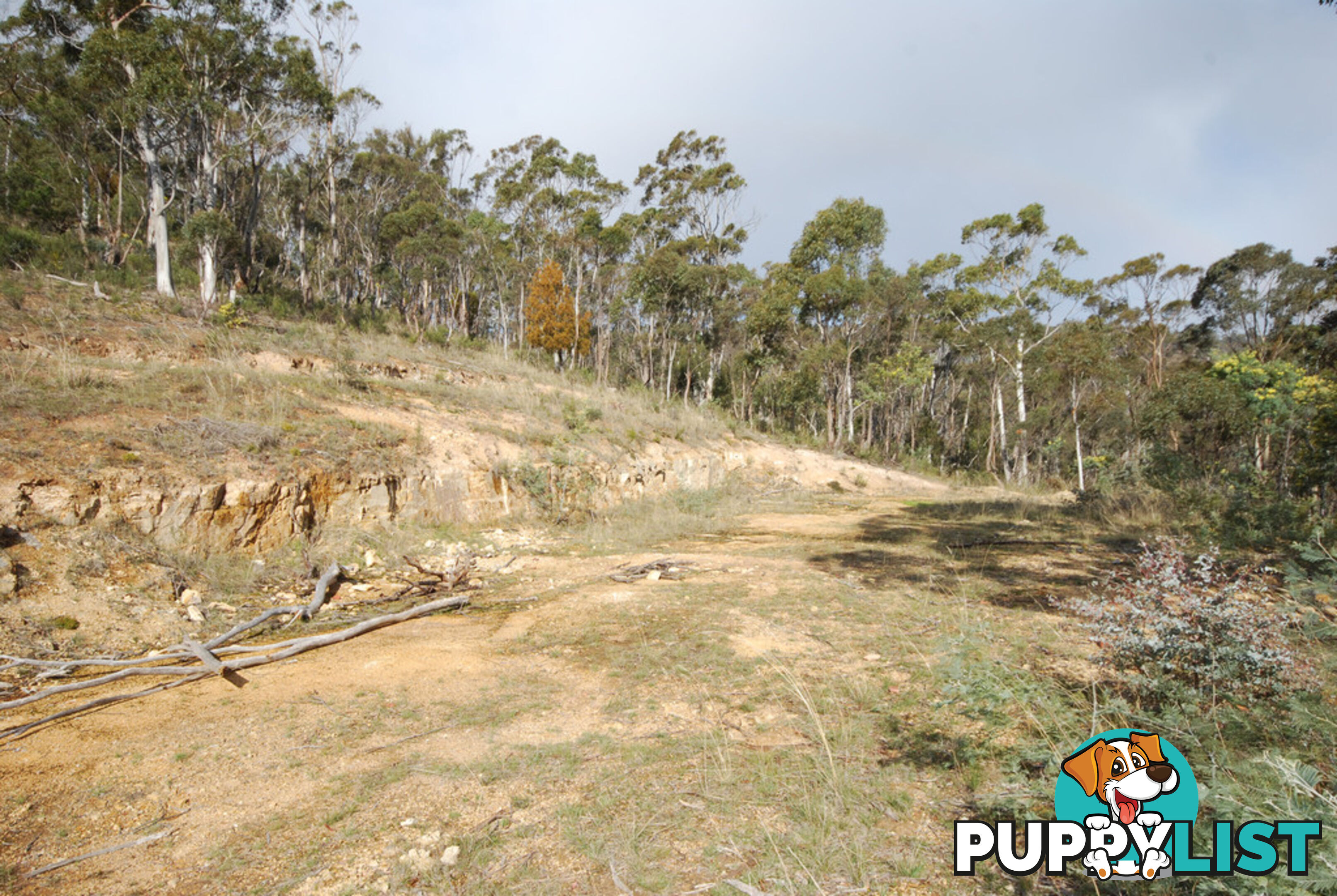 Lot 1 Fosters Gully Road NEW NORFOLK TAS 7140