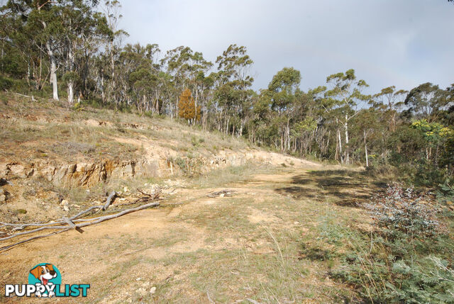 Lot 1 Fosters Gully Road NEW NORFOLK TAS 7140