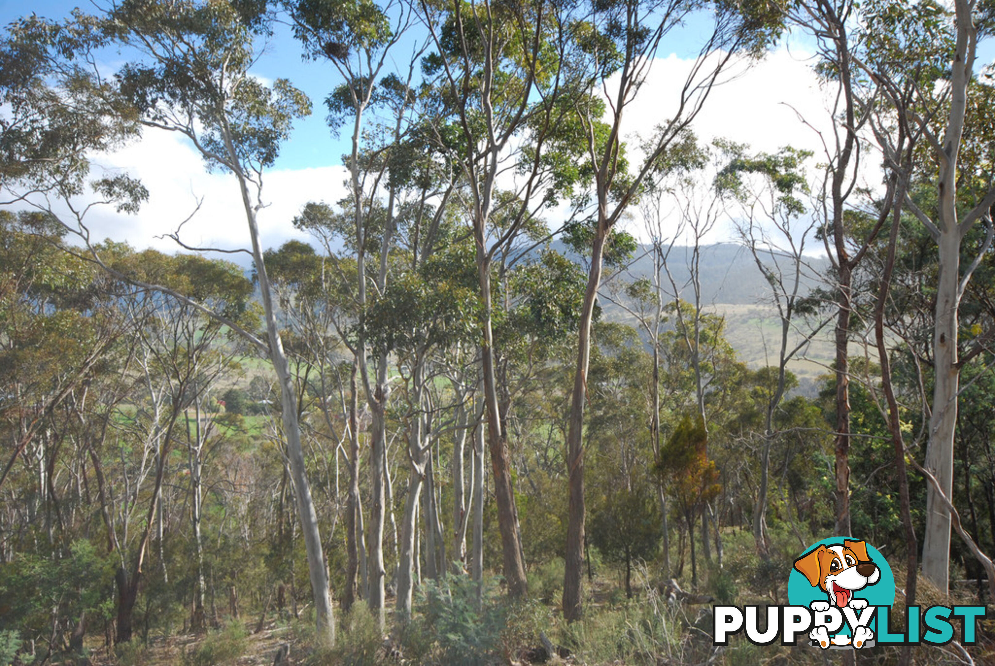 Lot 1 Fosters Gully Road NEW NORFOLK TAS 7140