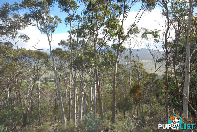 Lot 1 Fosters Gully Road NEW NORFOLK TAS 7140