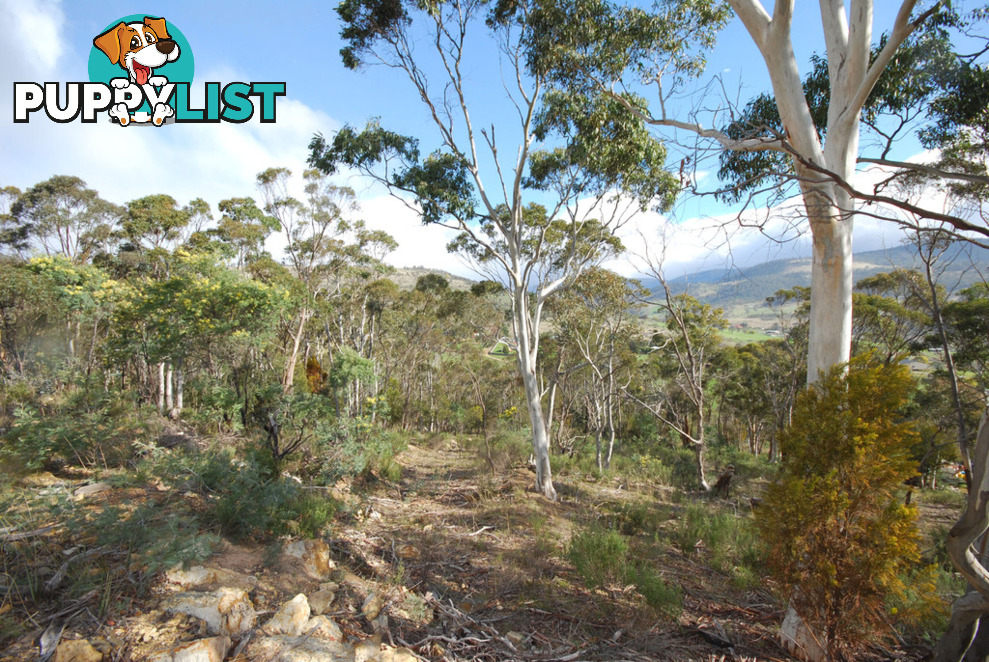 Lot 1 Fosters Gully Road NEW NORFOLK TAS 7140