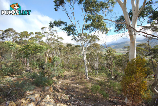 Lot 1 Fosters Gully Road NEW NORFOLK TAS 7140