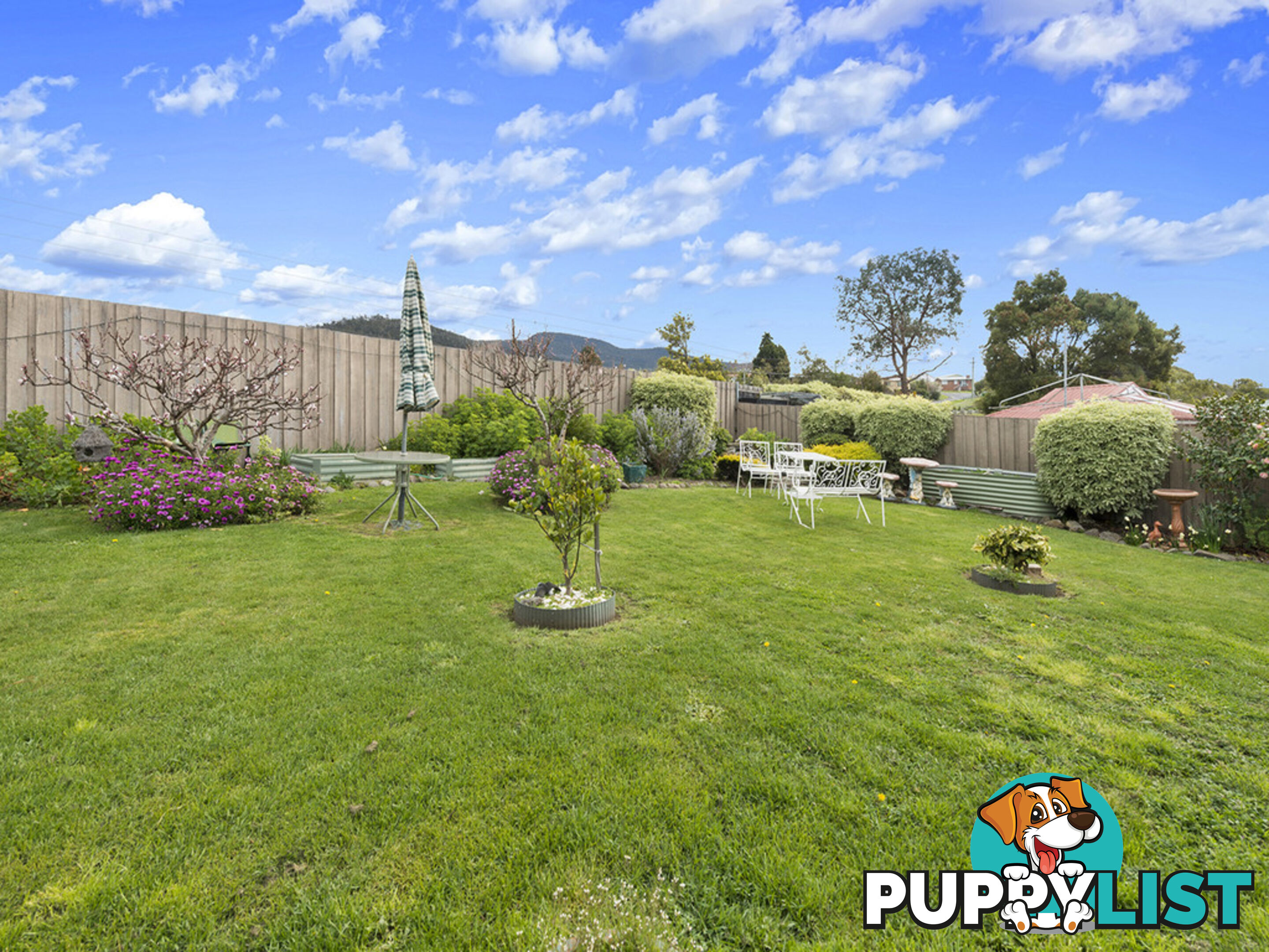 53 Chardonnay Drive BERRIEDALE TAS 7011