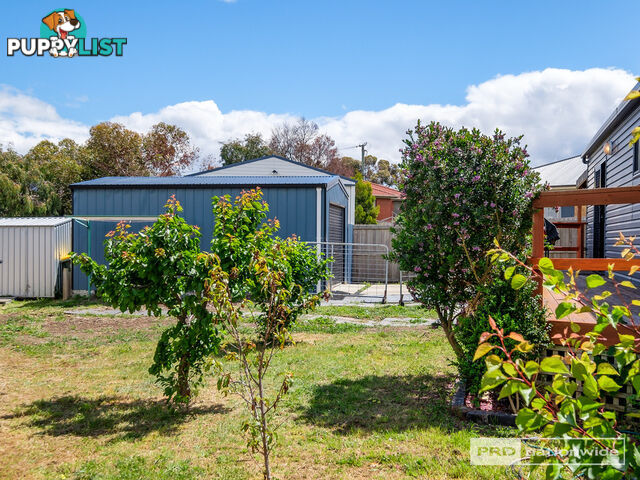 13 Voss Court OLD BEACH TAS 7017