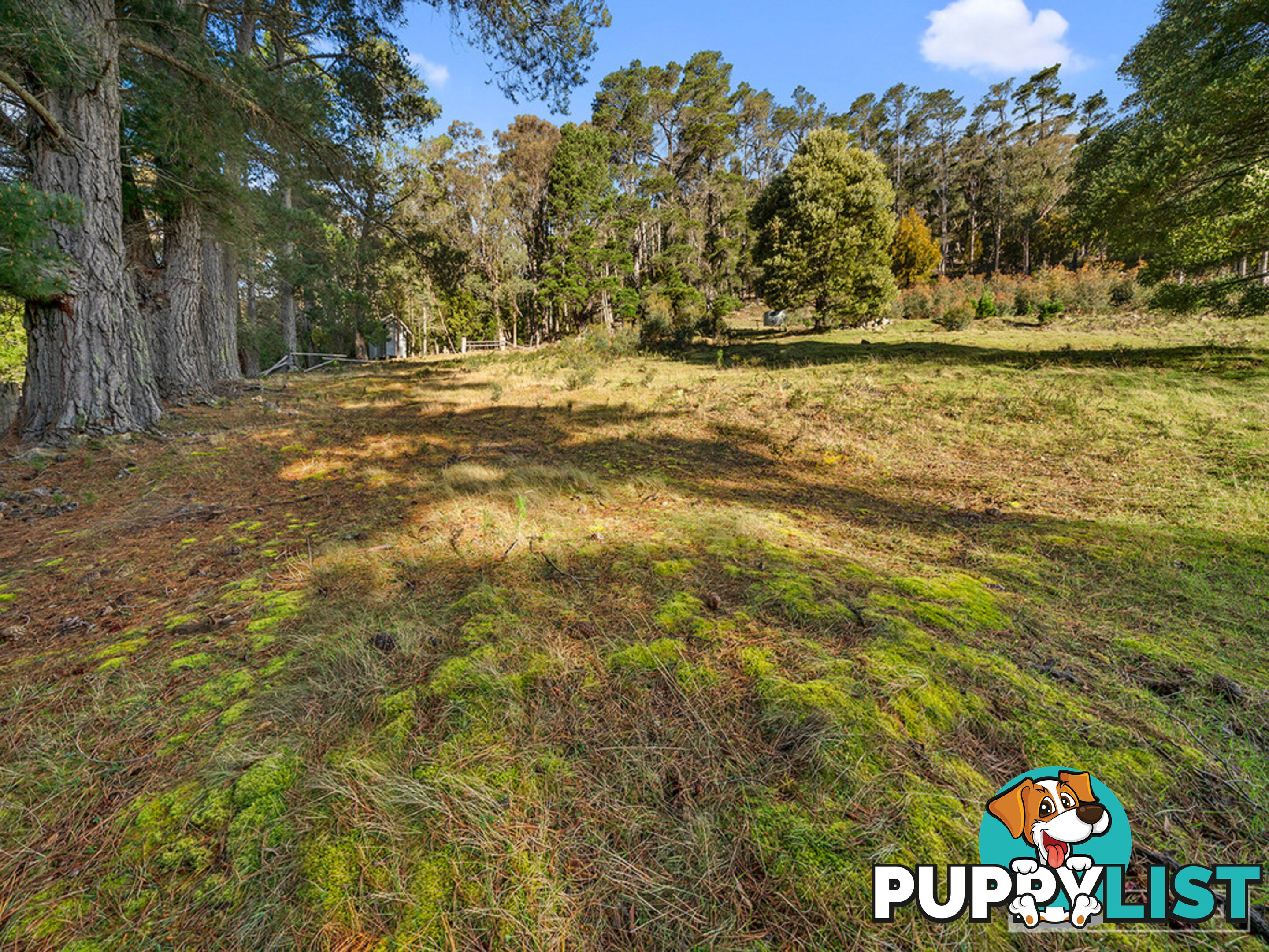 2415 Gordon River Road NATIONAL PARK TAS 7140