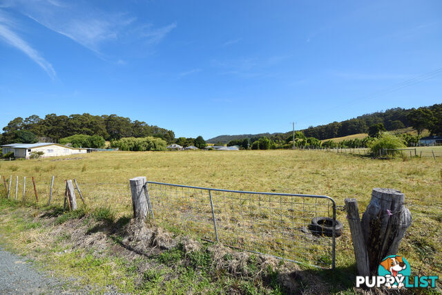 Lot 1 Tramway Street PORT ARTHUR TAS 7182