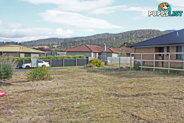 27 Saladin Circle CLARENDON VALE TAS 7019