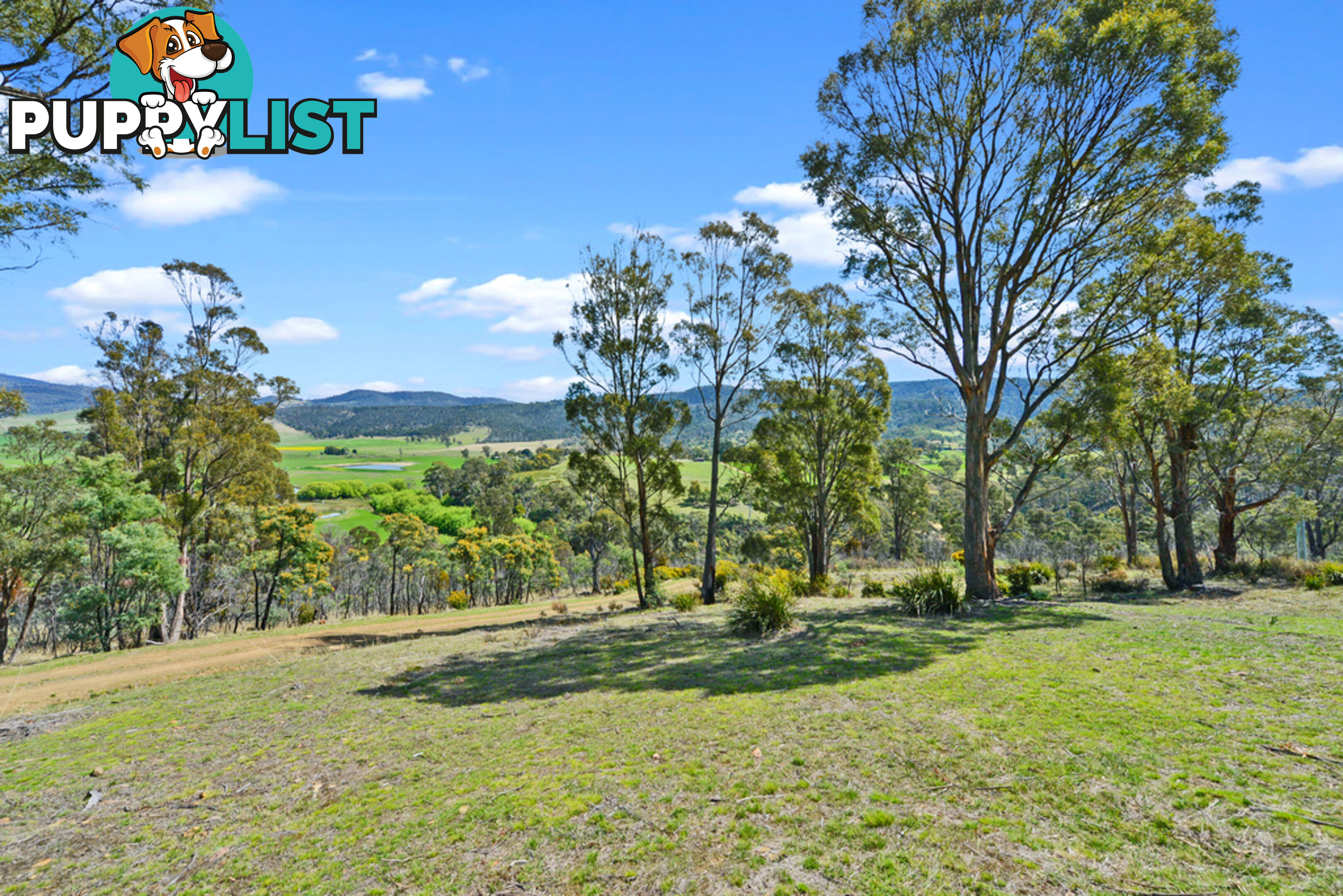 495 Clifton Vale Road ELDERSLIE TAS 7030