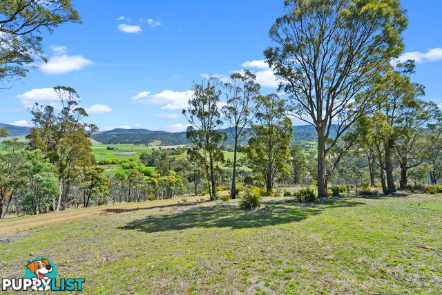 495 Clifton Vale Road ELDERSLIE TAS 7030