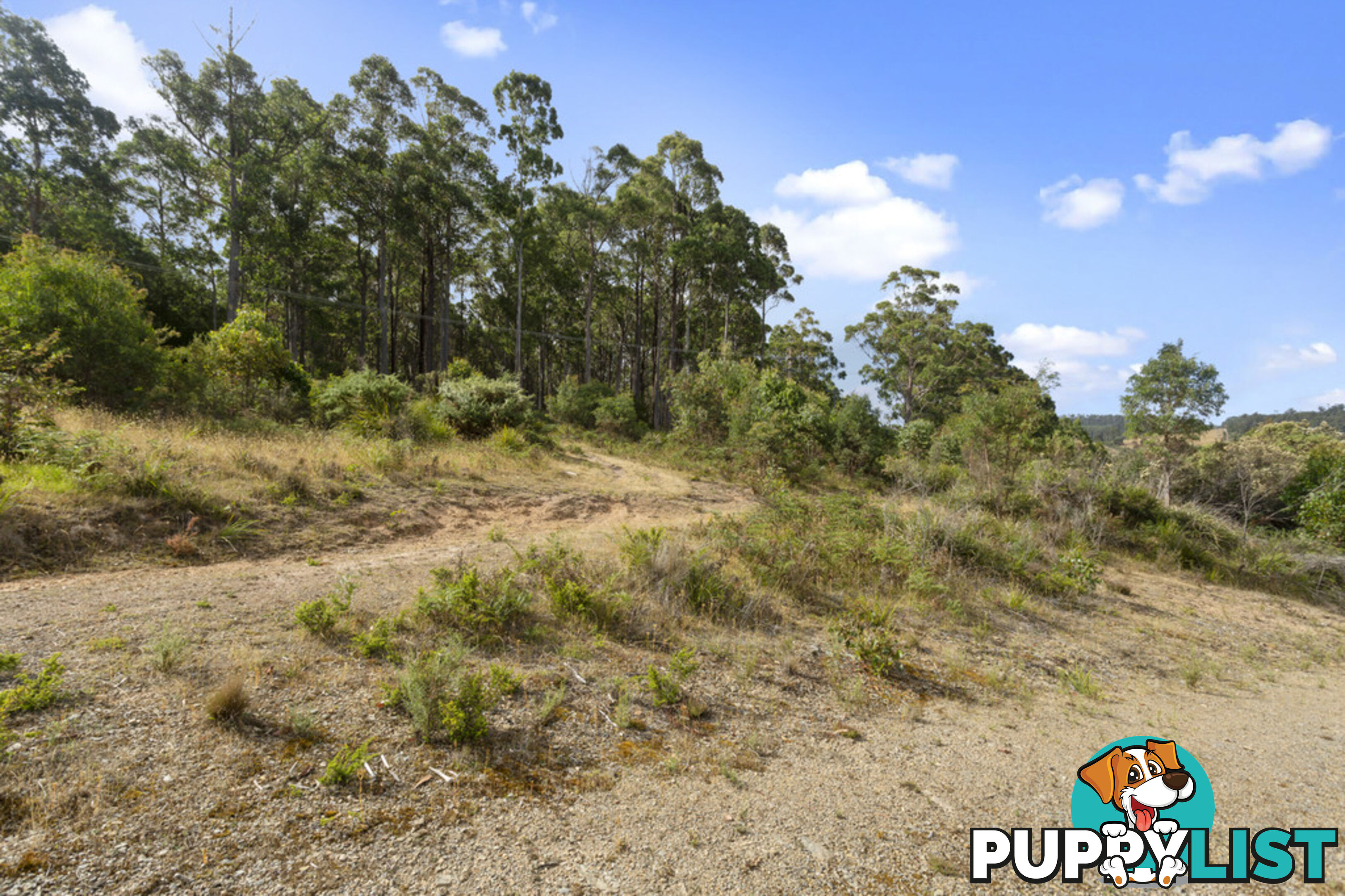 83 Mount Barrow Road NUNAMARA TAS 7259