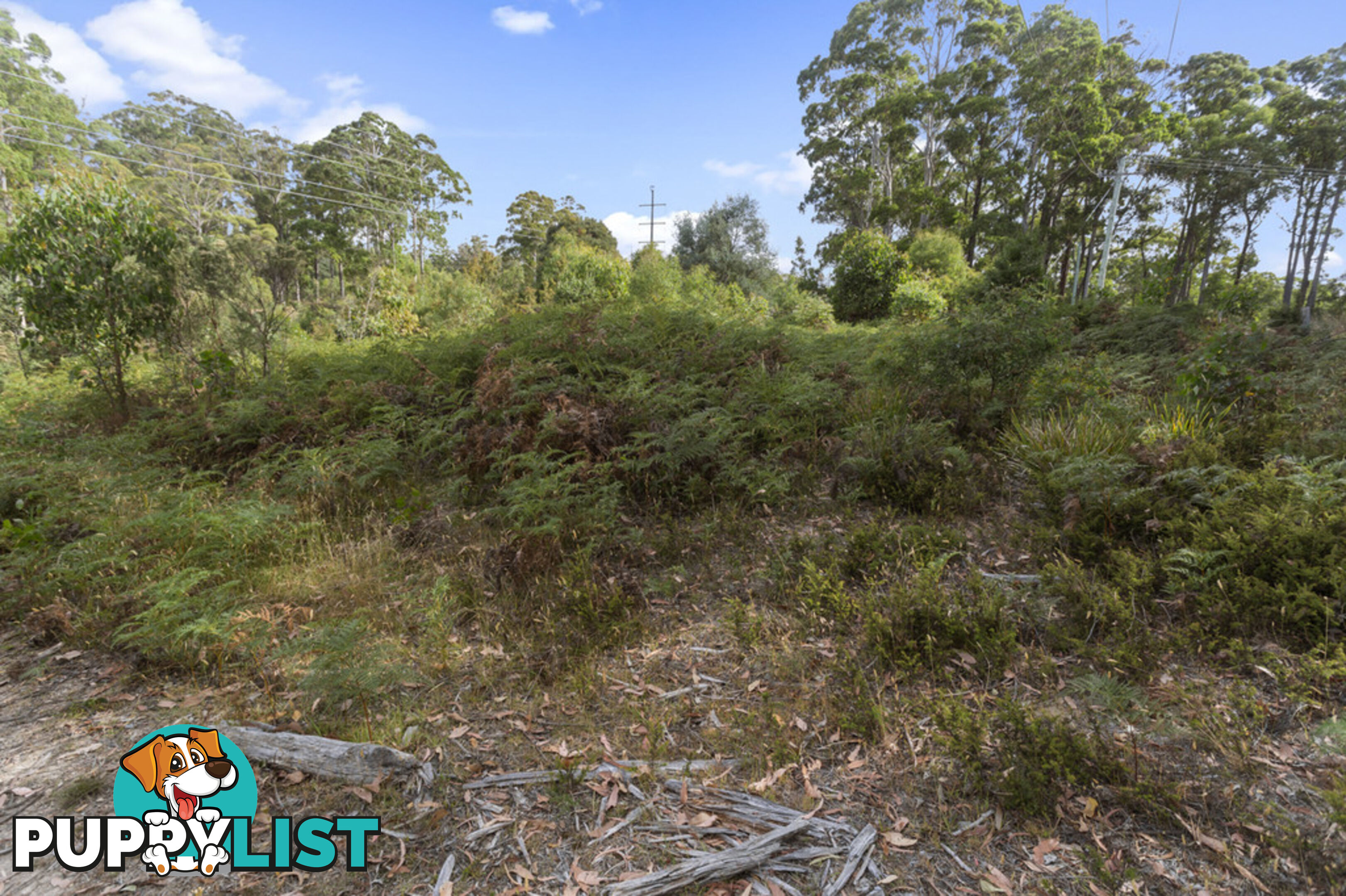 83 Mount Barrow Road NUNAMARA TAS 7259