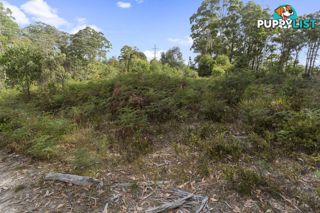 83 Mount Barrow Road NUNAMARA TAS 7259