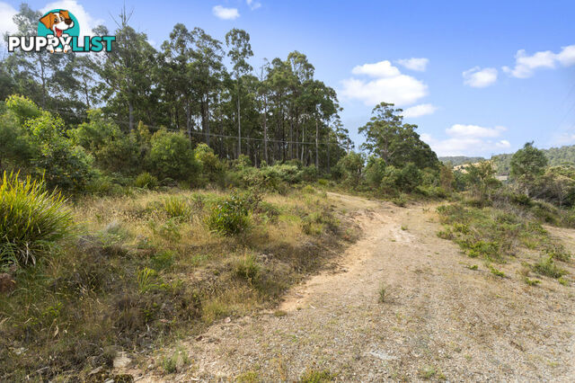 83 Mount Barrow Road NUNAMARA TAS 7259