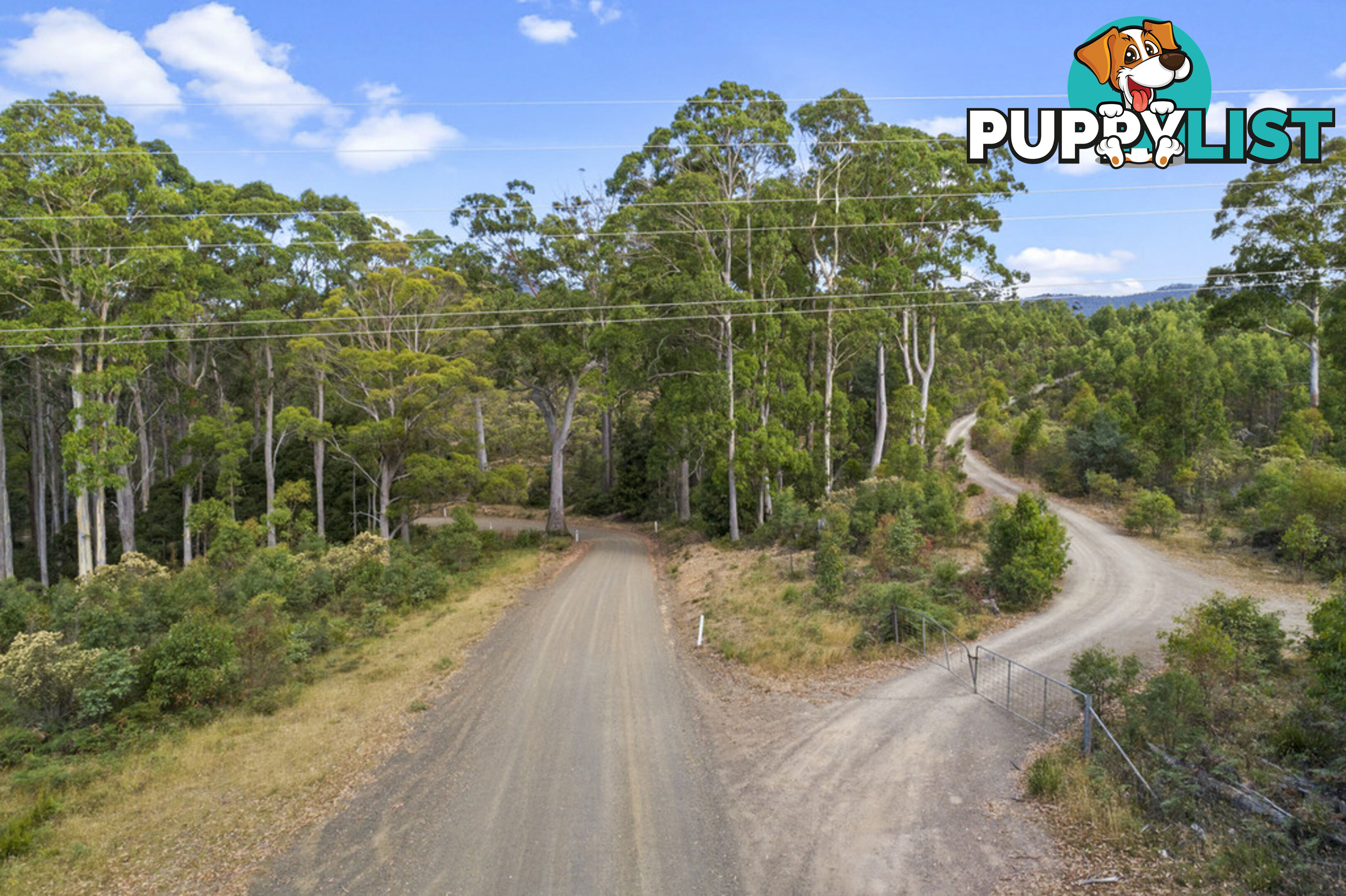 83 Mount Barrow Road NUNAMARA TAS 7259