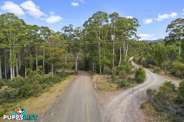 83 Mount Barrow Road NUNAMARA TAS 7259