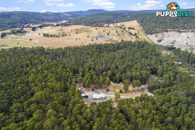 83 Mount Barrow Road NUNAMARA TAS 7259