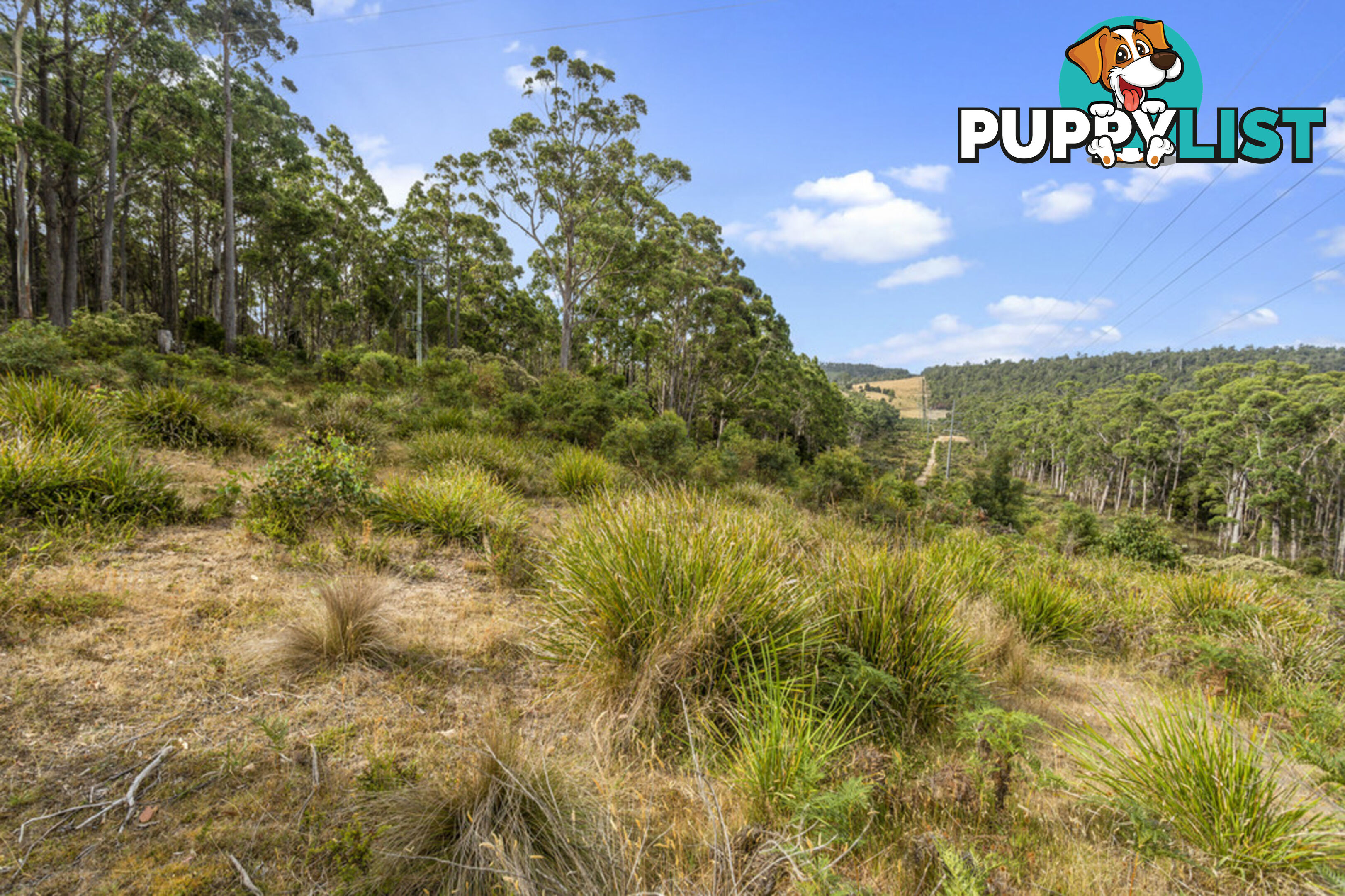 83 Mount Barrow Road NUNAMARA TAS 7259