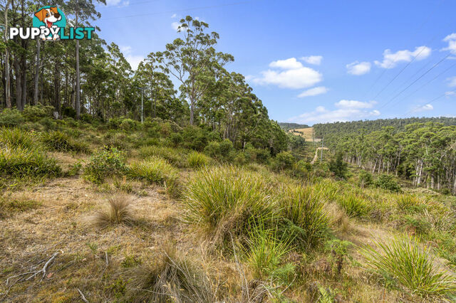 83 Mount Barrow Road NUNAMARA TAS 7259