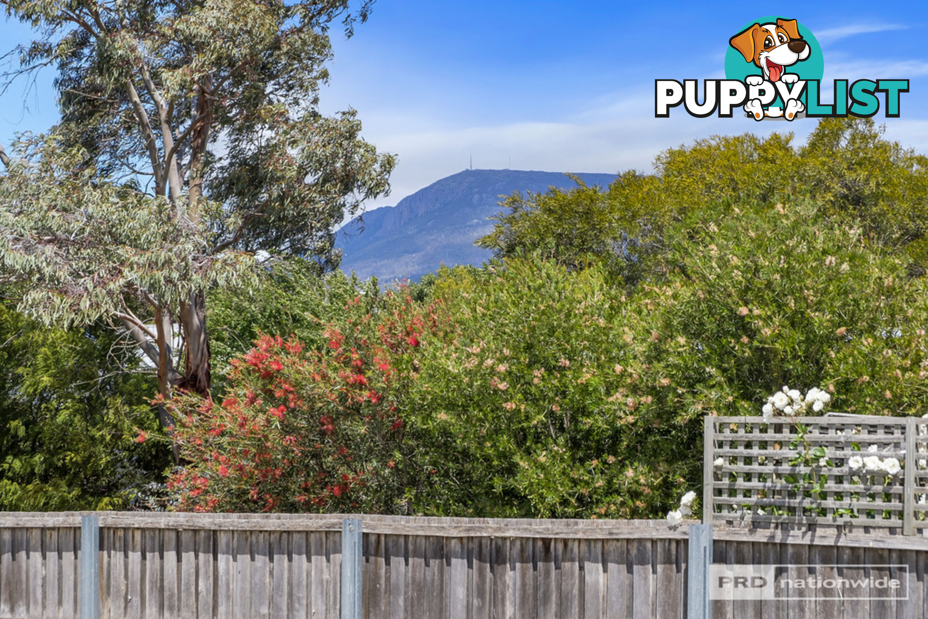 50 Gepp Parade DERWENT PARK TAS 7009