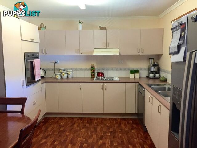 12 Salamaua Street MOUNT ISA QLD 4825