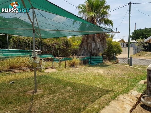 5 Hazel Street MOUNT ISA QLD 4825