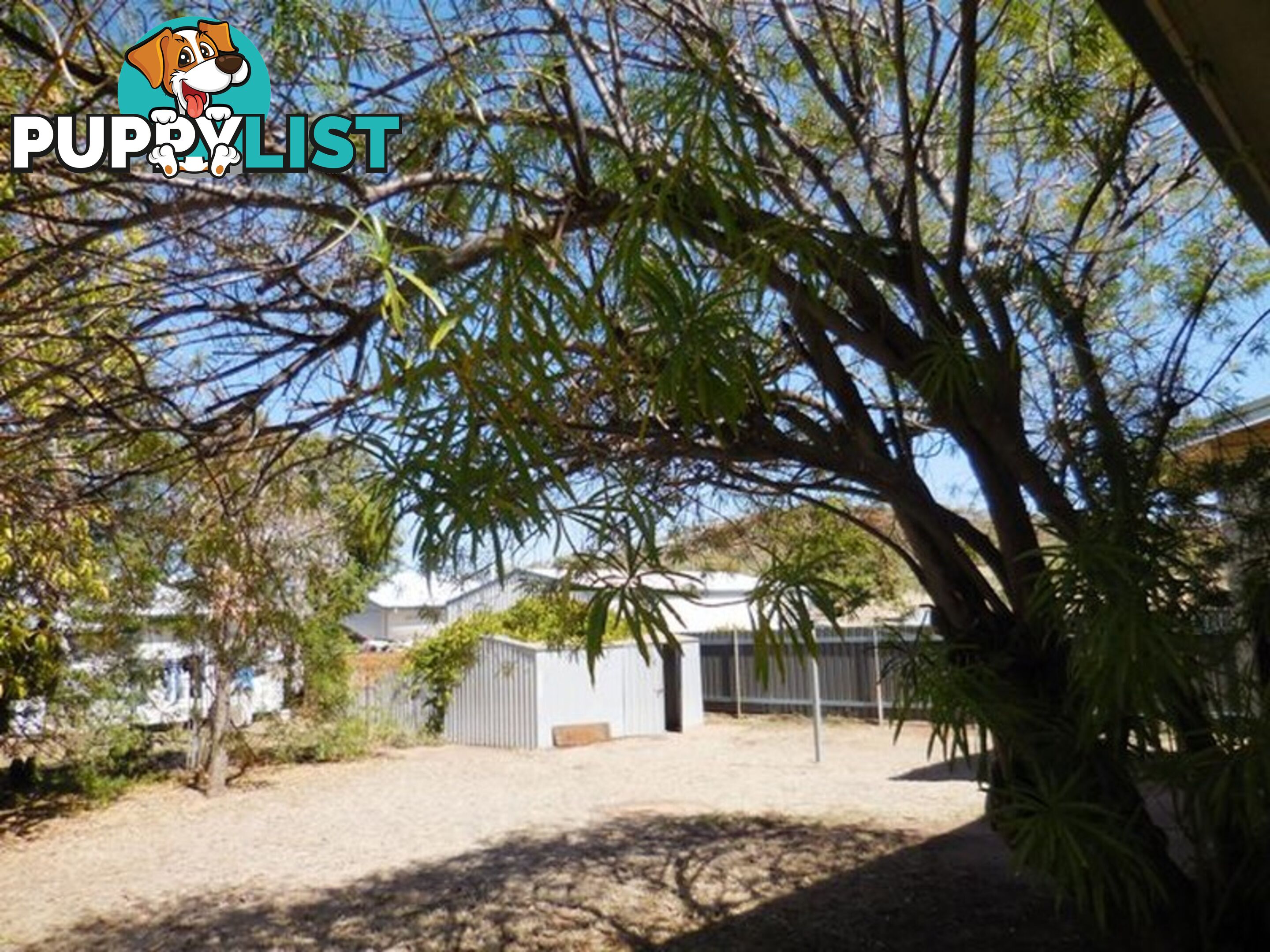 3 Larch Street MOUNT ISA QLD 4825