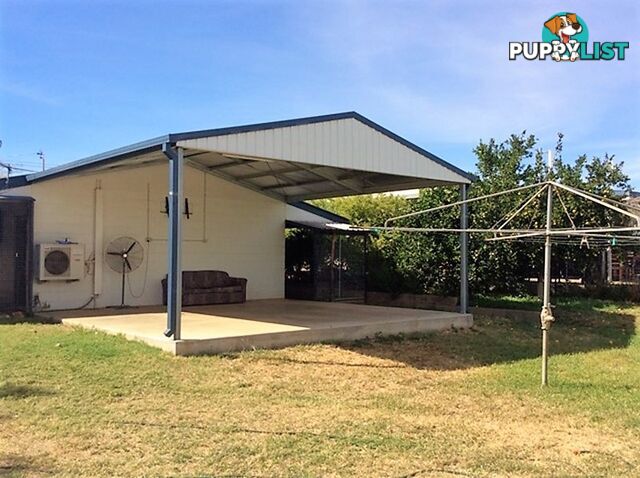 5 Frances Street MOUNT ISA QLD 4825