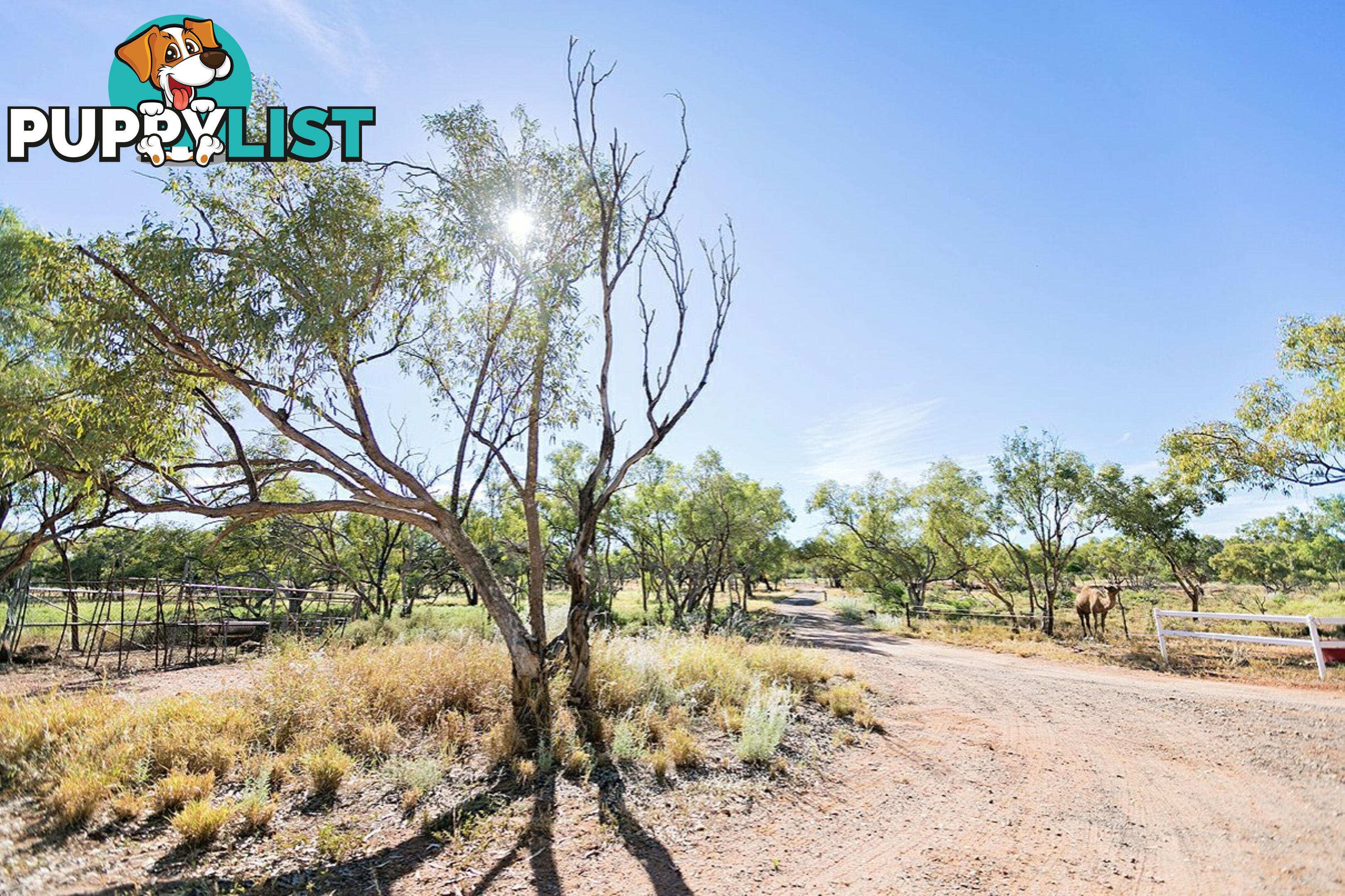 241-245 Duchess Road MOUNT ISA QLD 4825