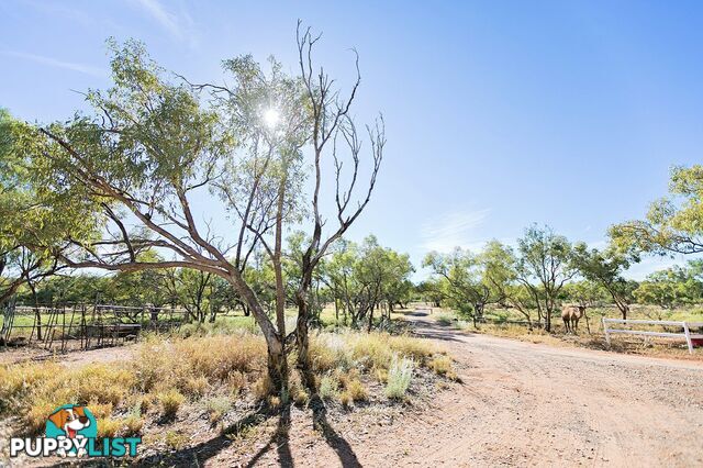 241-245 Duchess Road MOUNT ISA QLD 4825