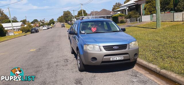 👍MAKE IT HAPPEN your Good Luck charm ☘🍀 Ford Territory 2006 AUTO HATCH TX