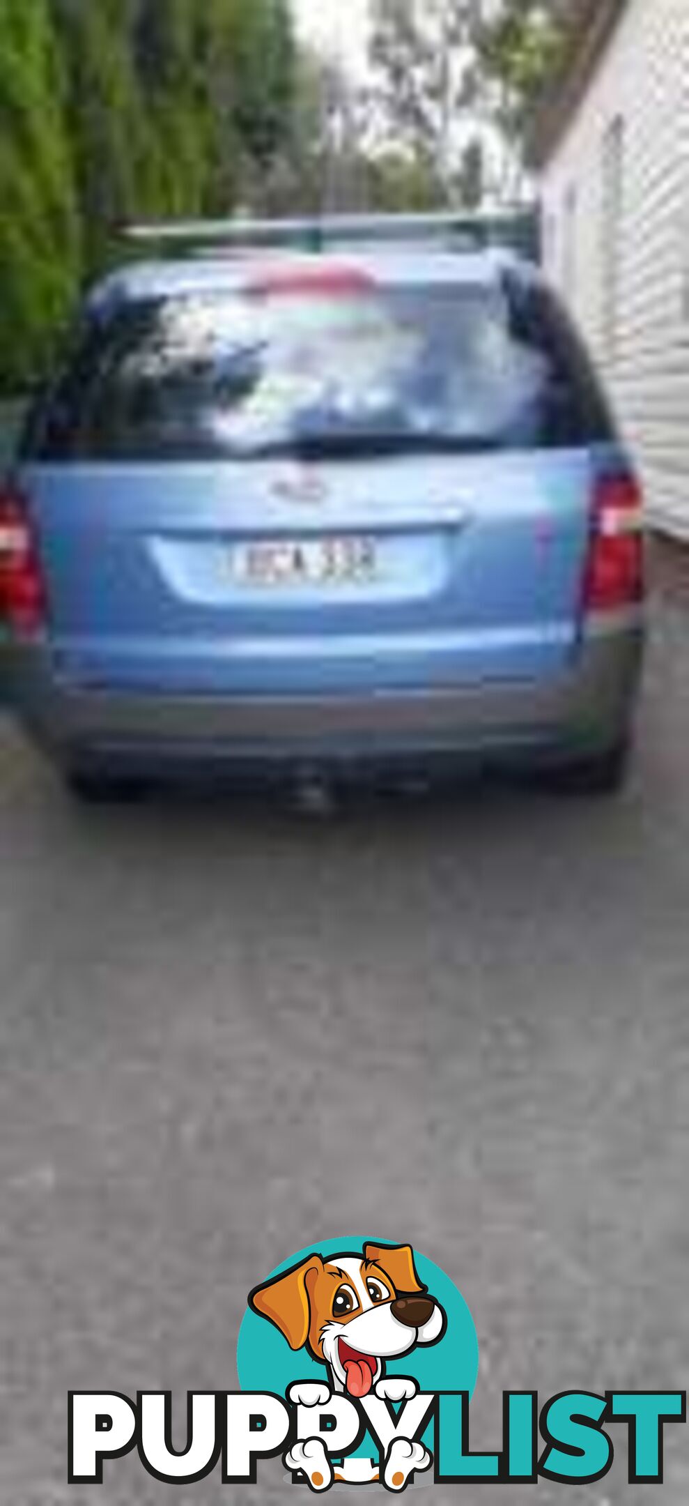 HAPPY VALENTINE  Ford Territory 2006  TX Hatchback Automatic