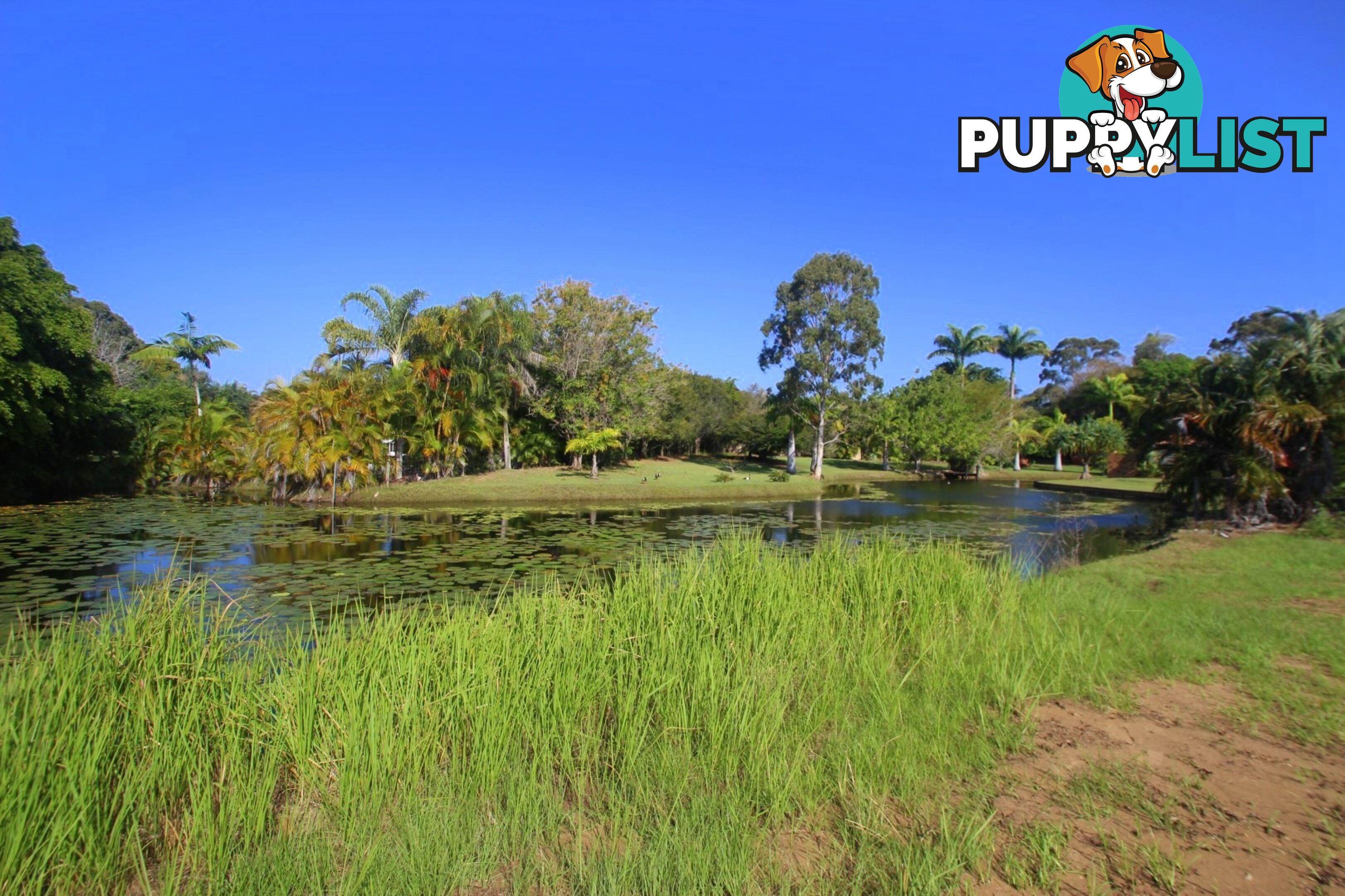 51 Sawmill Road DUNDOWRAN BEACH QLD 4655