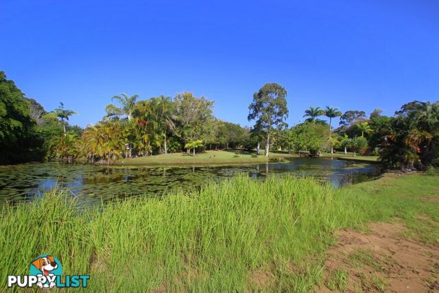 51 Sawmill Road DUNDOWRAN BEACH QLD 4655