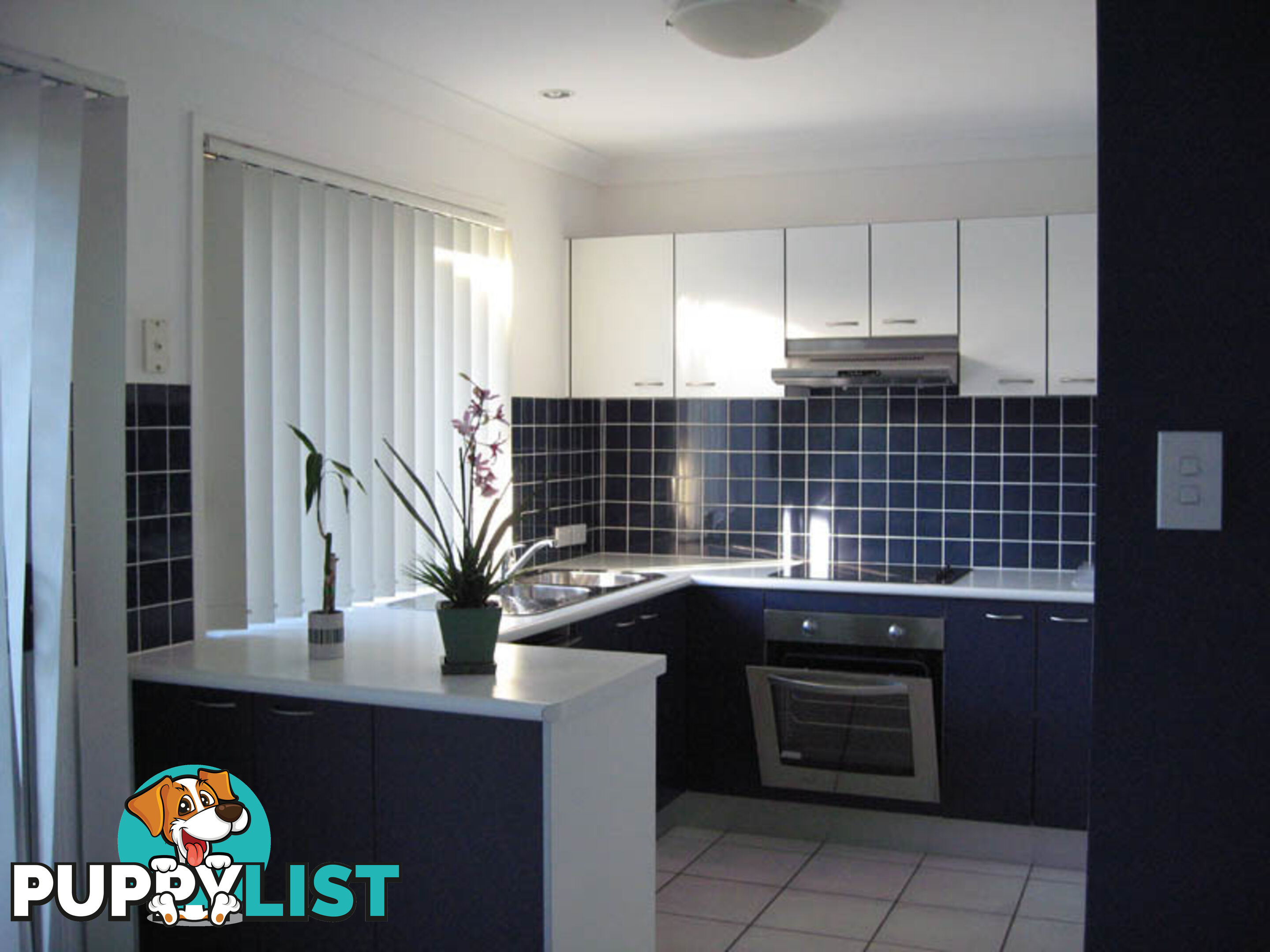 11 Penny Street ALGESTER QLD 4115