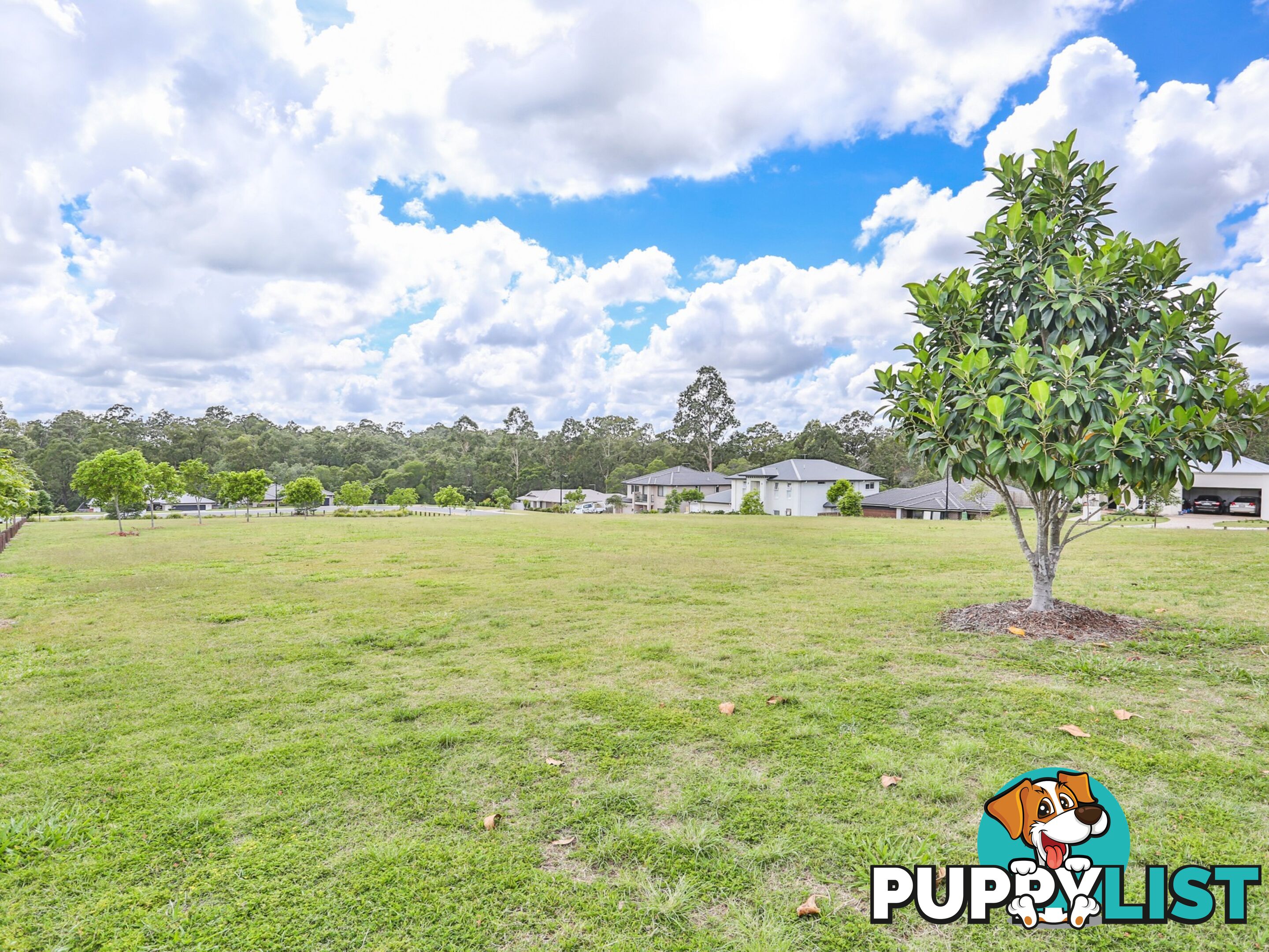 33-35 Groundberry Crescent MOGGILL QLD 4070