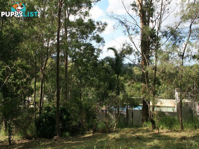 71 Bielby Road KENMORE HILLS QLD 4069