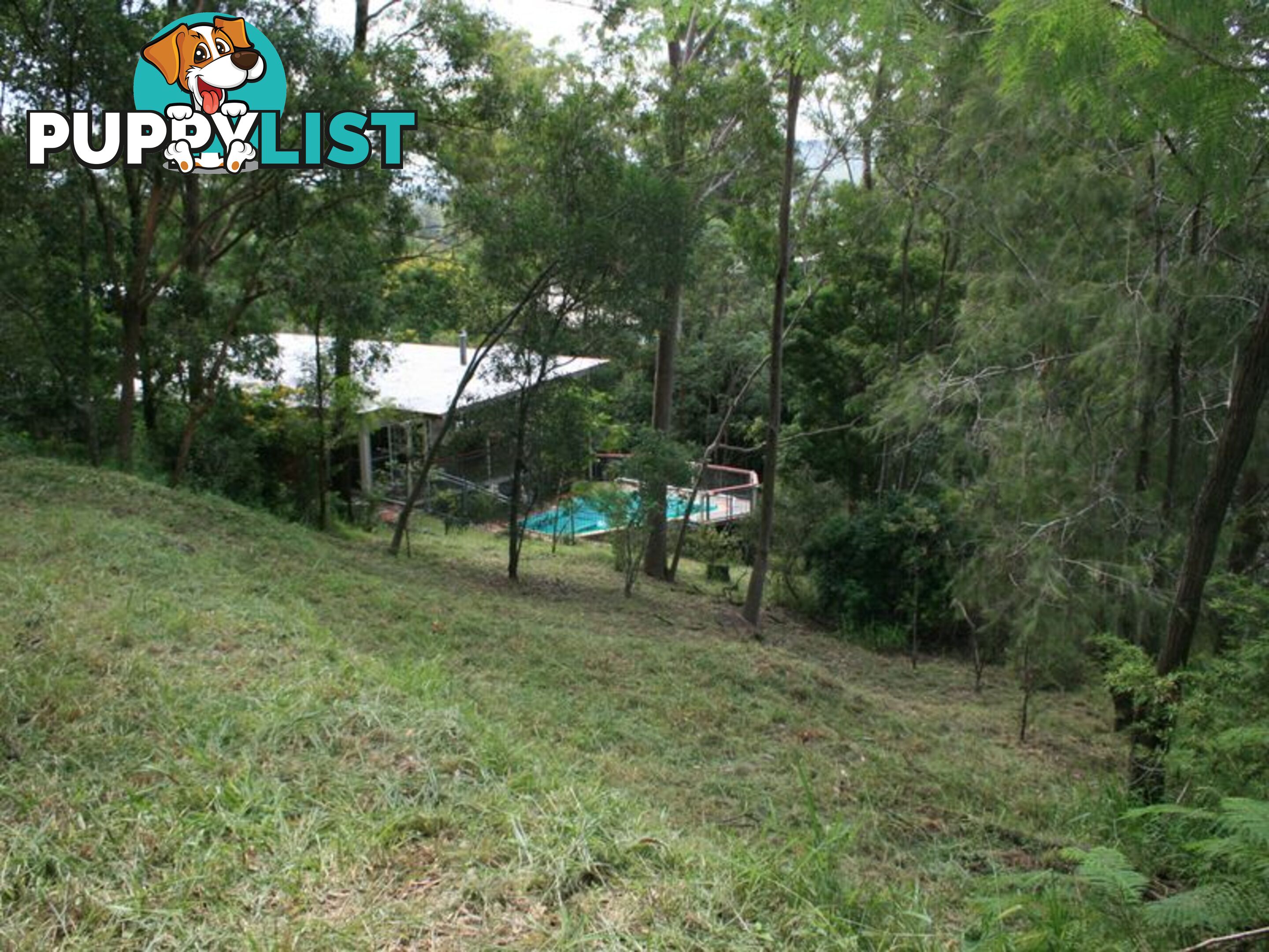 71 Bielby Road KENMORE HILLS QLD 4069