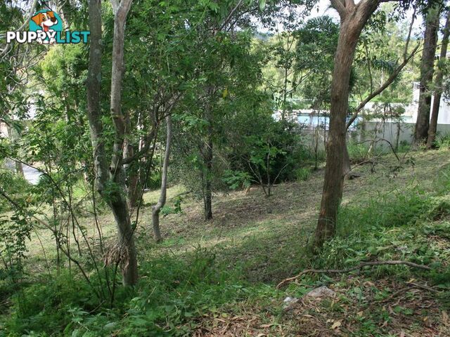 71 Bielby Road KENMORE HILLS QLD 4069