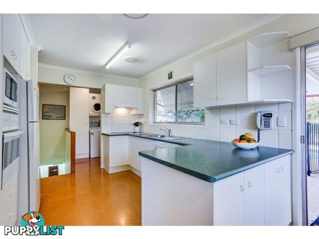 55 Dumbarton Drive KENMORE QLD 4069