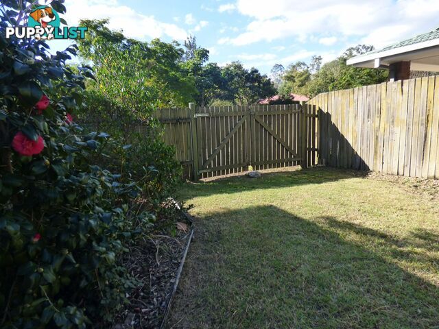 52 Kerria Street BELLBOWRIE QLD 4070