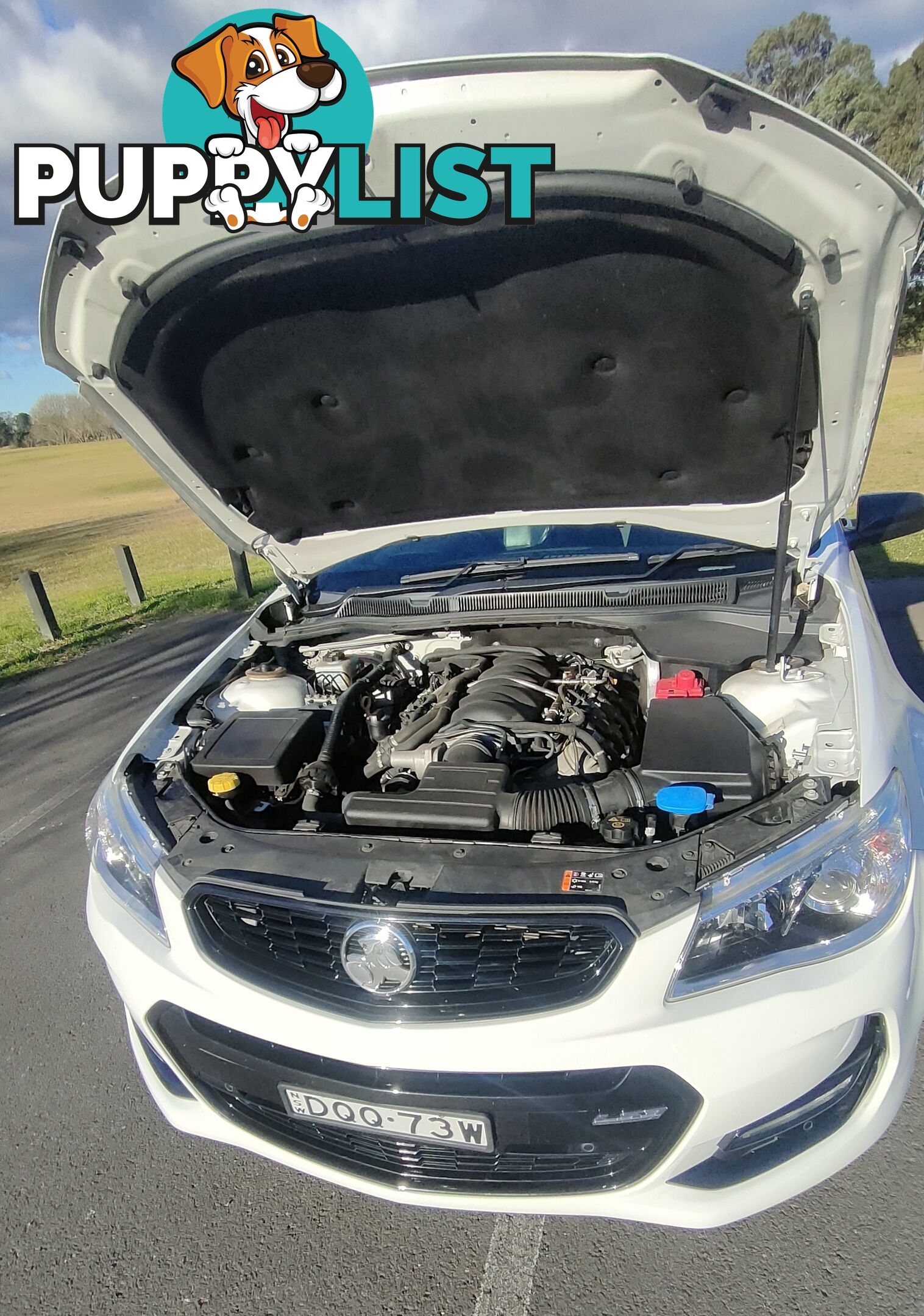 2027 Holden Commodore VF II MY17 REDLINE Sedan Manual