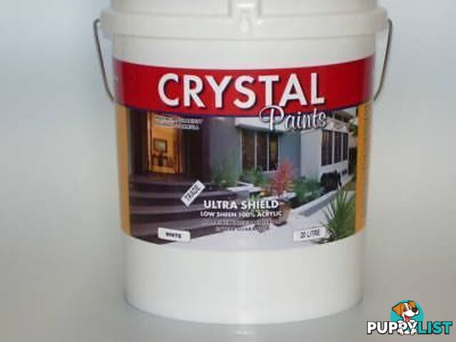 EXTERIOR LOW SHEEN PAINT 20 X 20 LT ACRYLIC OK FOR INTERIOR WHITE