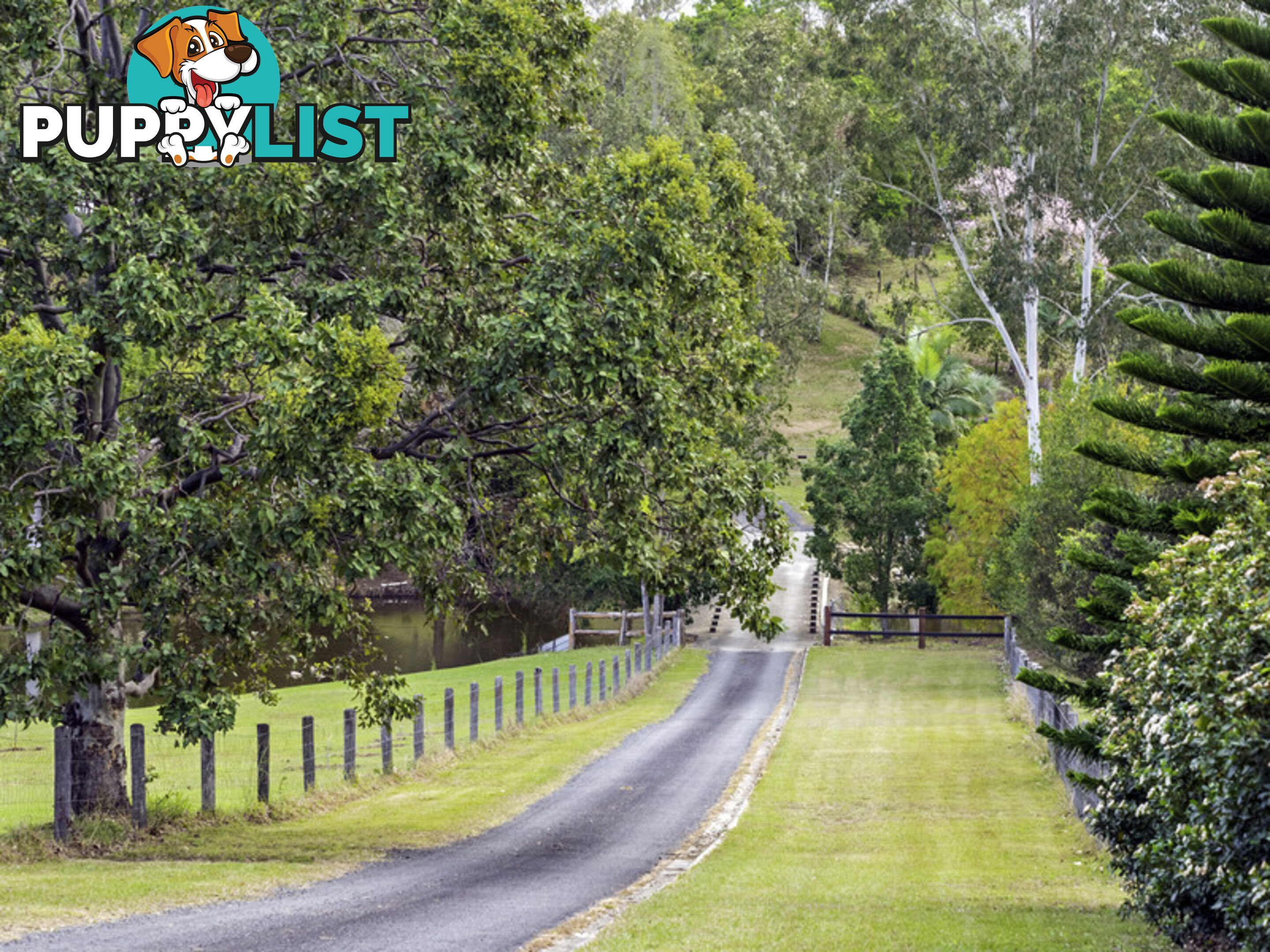 6 Riverine Court Samford Valley QLD 4520