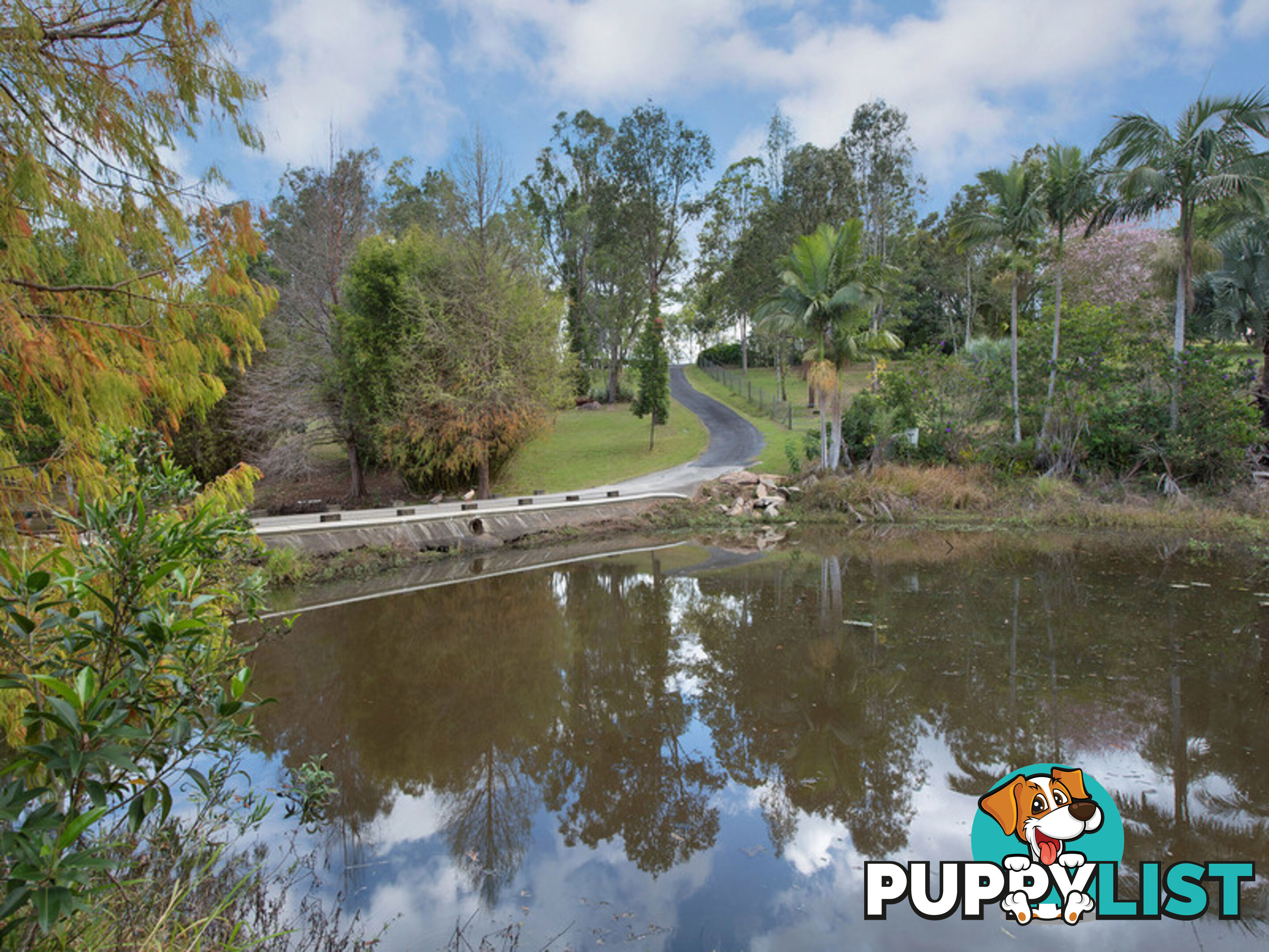 6 Riverine Court Samford Valley QLD 4520