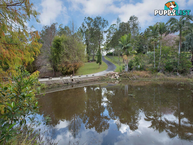 6 Riverine Court Samford Valley QLD 4520