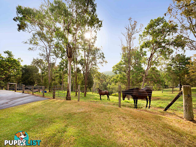 45 Townsend Road Ocean View QLD 4521