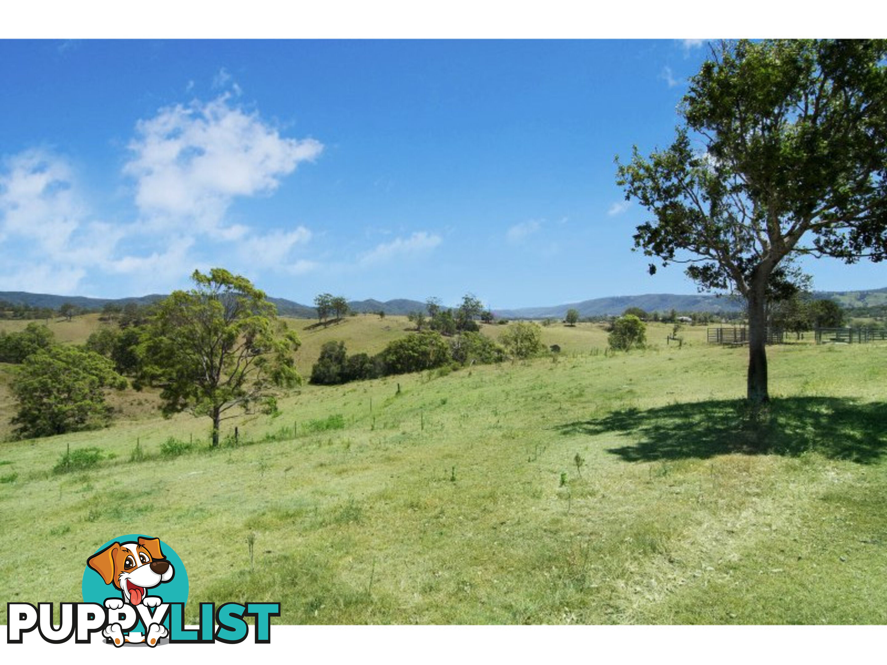 267 Laceys Creek Road Laceys Creek QLD 4521